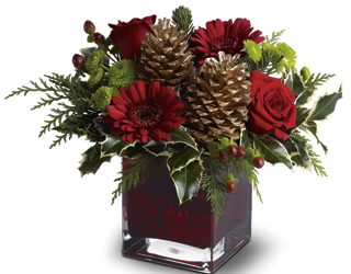 Cozy Christmas from Martha Mae's Floral & Gifts in McDonough, GA
