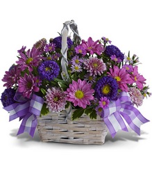 Daisy Day Dreams from Martha Mae's Floral & Gifts in McDonough, GA
