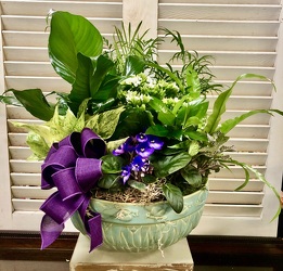 Plant Garden in Ceramic Container  from Martha Mae's Floral & Gifts in McDonough, GA