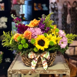 Cutiepatootie Basket from Martha Mae's Floral & Gifts in McDonough, GA