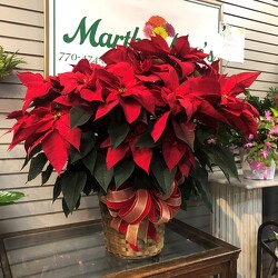 50% OFF-2 LEFT!! X-Large Poinsettia  from Martha Mae's Floral & Gifts in McDonough, GA