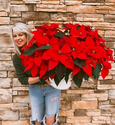 SALE!!! Large Poinsettia from Martha Mae's Floral & Gifts in McDonough, GA